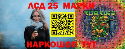 apvp Гатчина