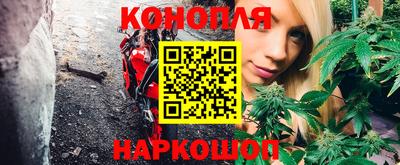 гашик Будённовск