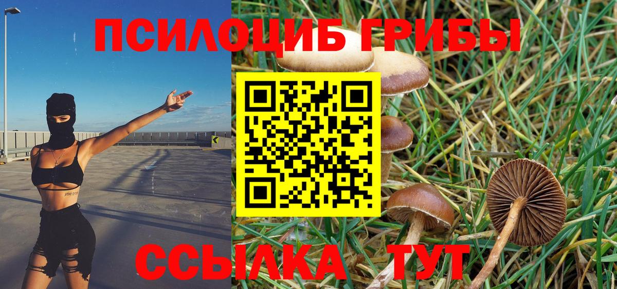Галлюциногенные грибы MAGIC MUSHROOMS Гусиноозёрск