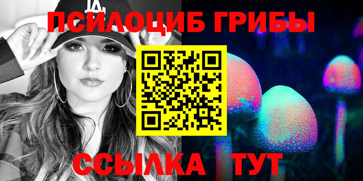Галлюциногенные грибы Psilocybe Гусиноозёрск