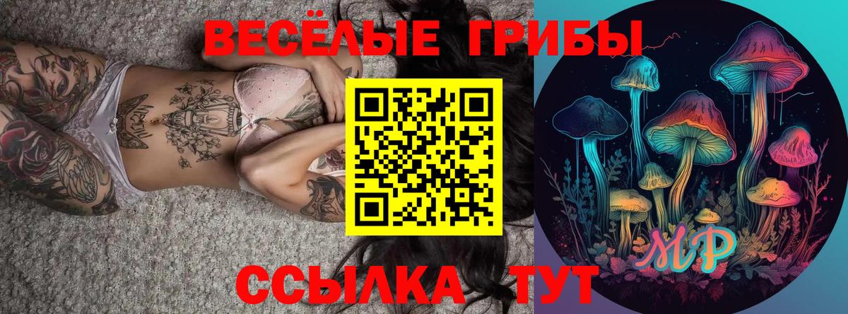 Псилоцибиновые грибы Psilocybine cubensis  Галлюциногенные грибы мицелий  Гусиноозёрск 