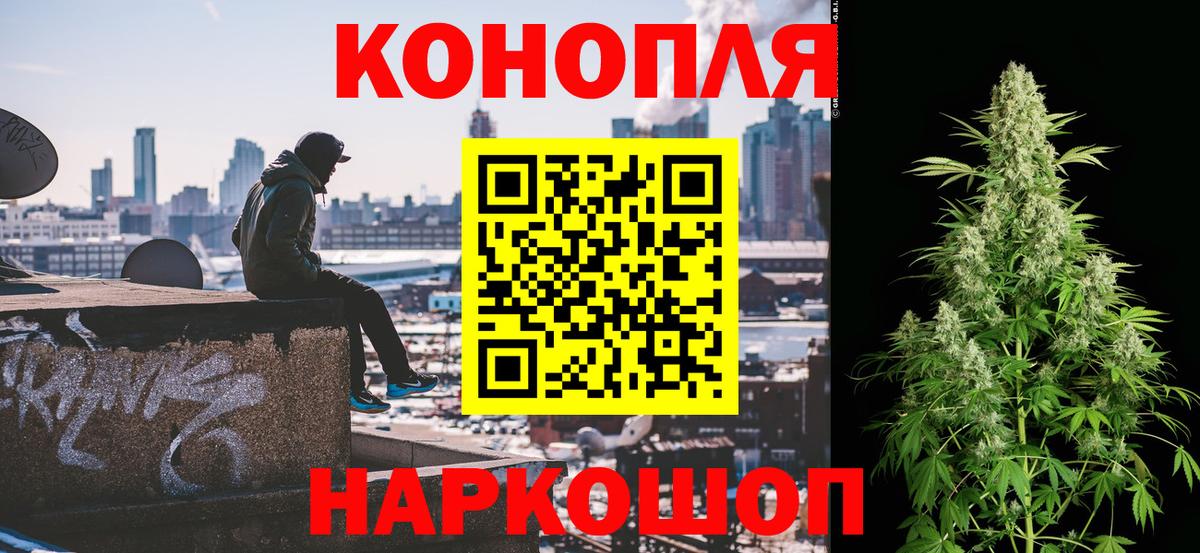 Бошки Шишки сатива Гусиноозёрск